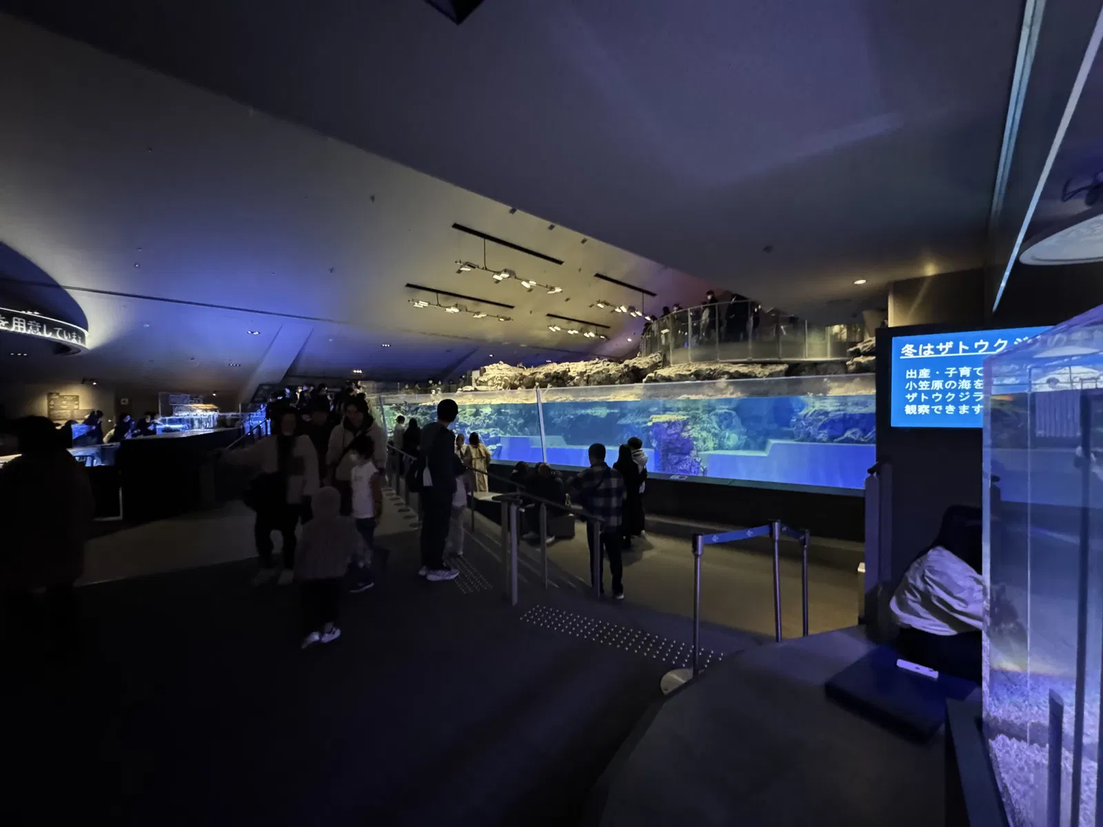 Sumida Aquarium