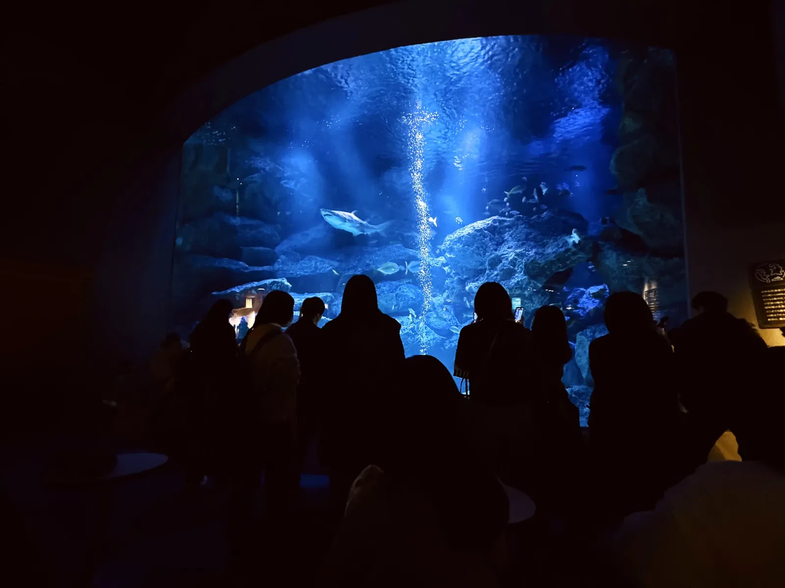 Sumida Aquarium