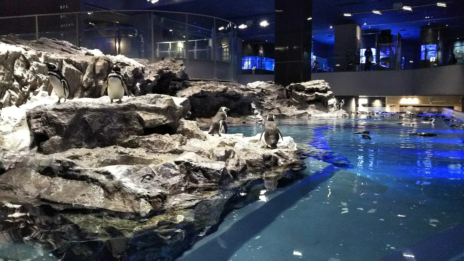 Sumida Aquarium