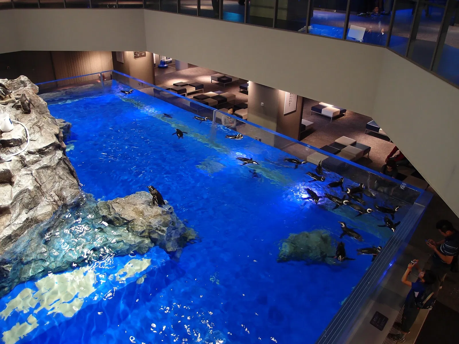 Sumida Aquarium
