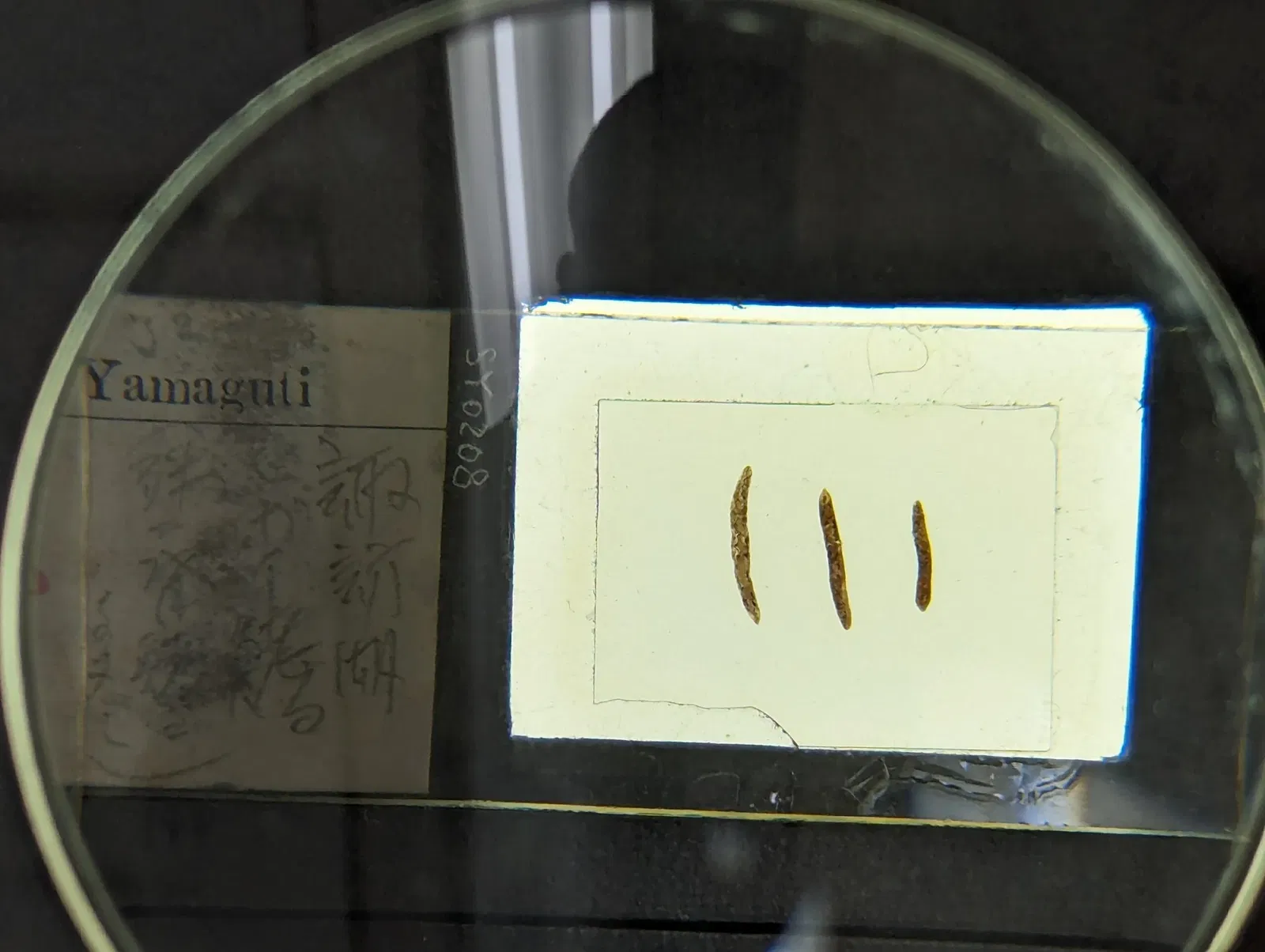 Meguro Parasitological Museum