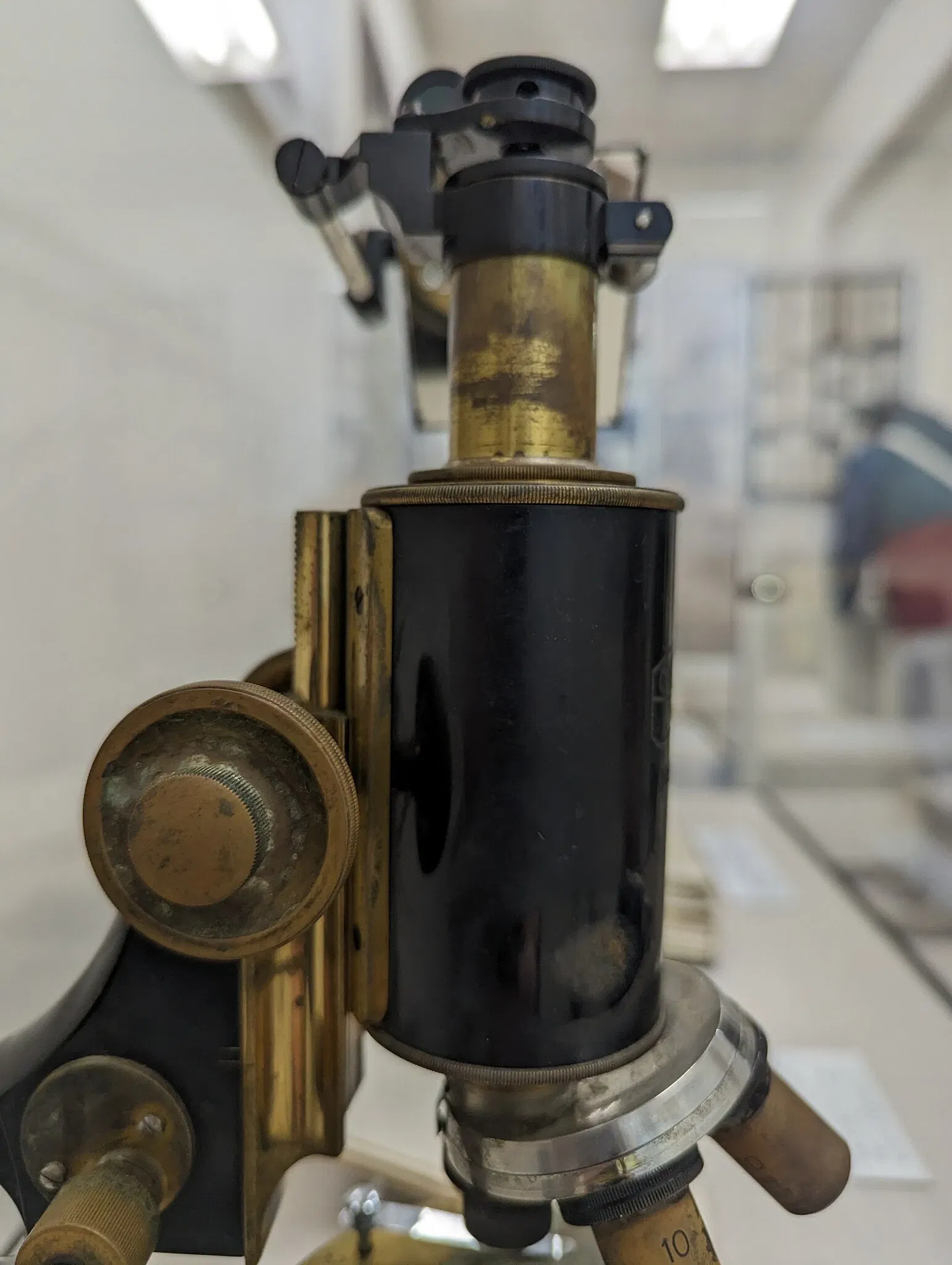 Meguro Parasitological Museum