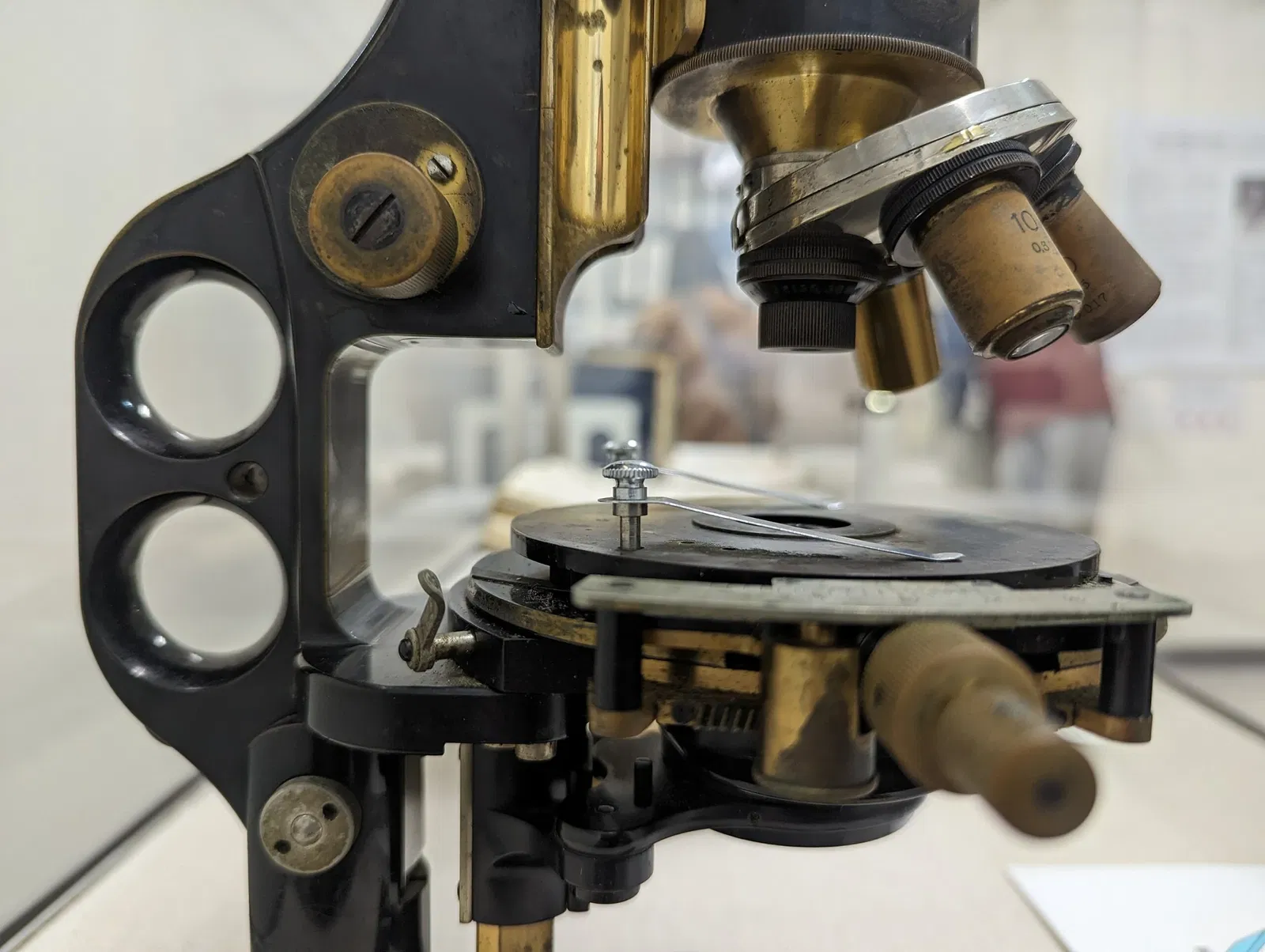 Meguro Parasitological Museum