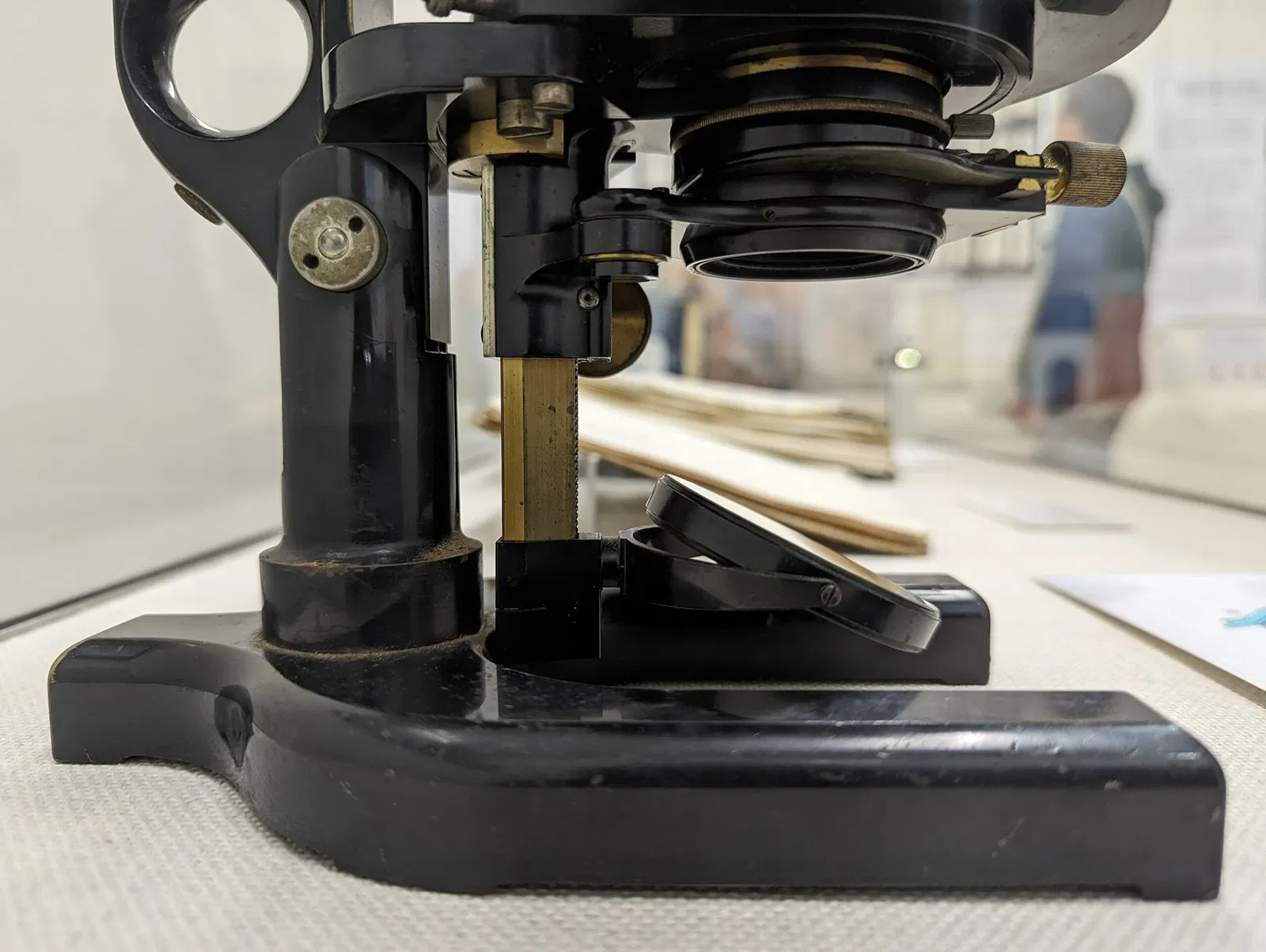 Meguro Parasitological Museum