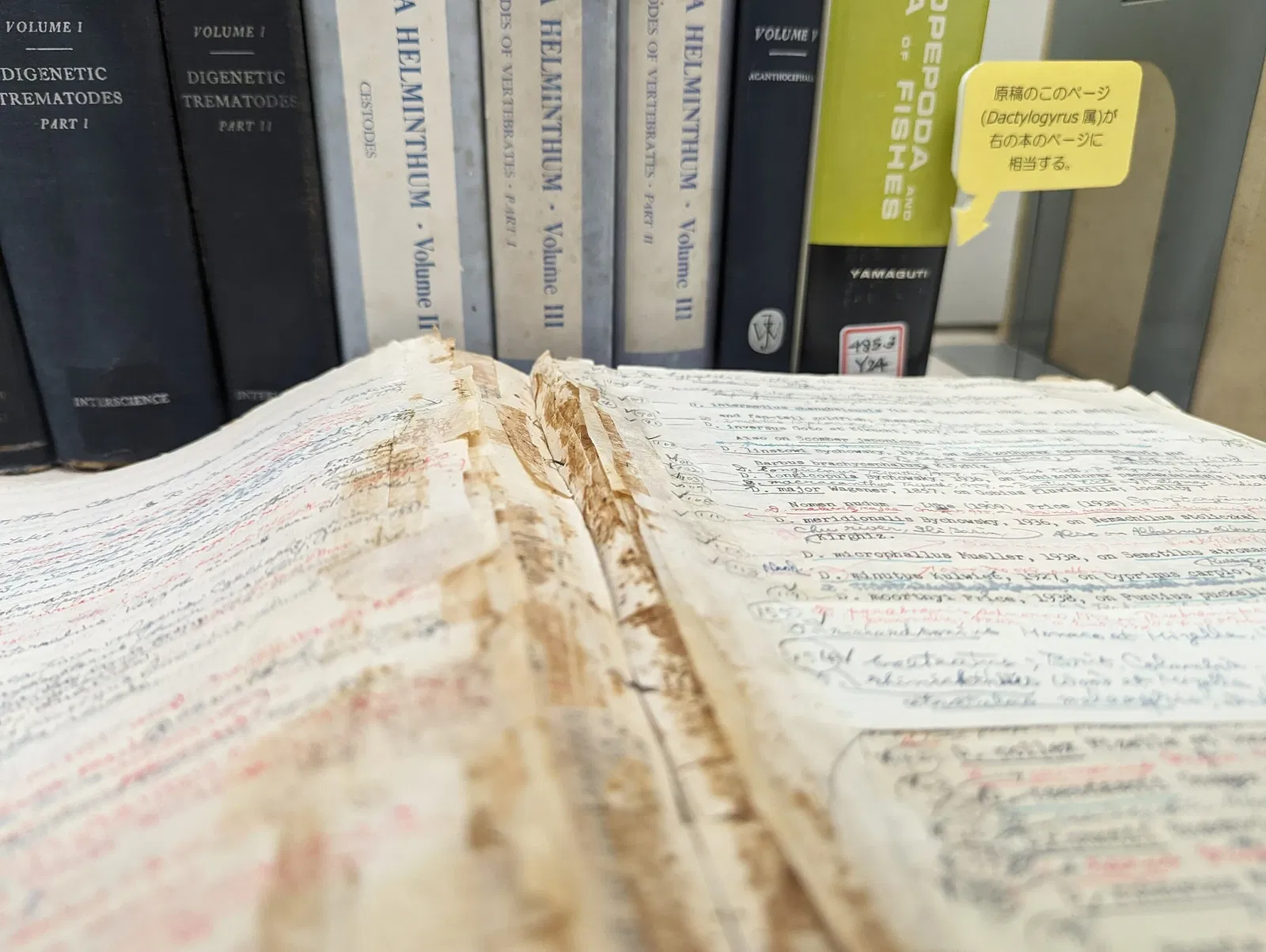 Meguro Parasitological Museum