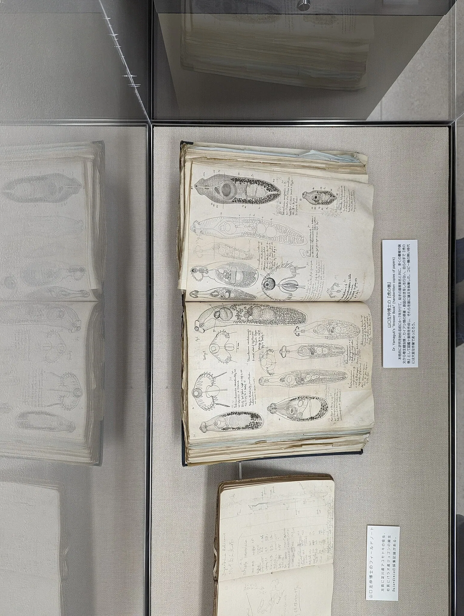 Meguro Parasitological Museum