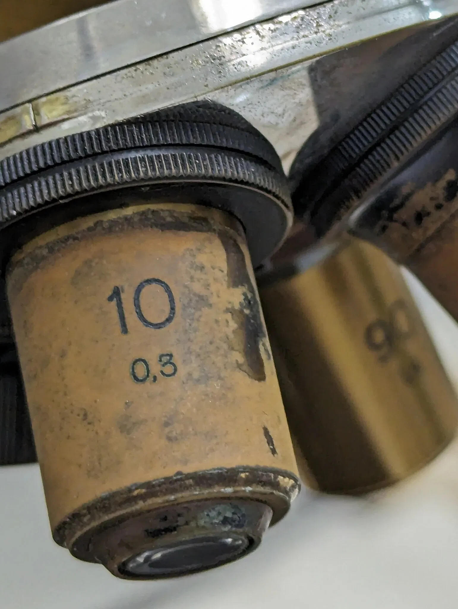 Meguro Parasitological Museum