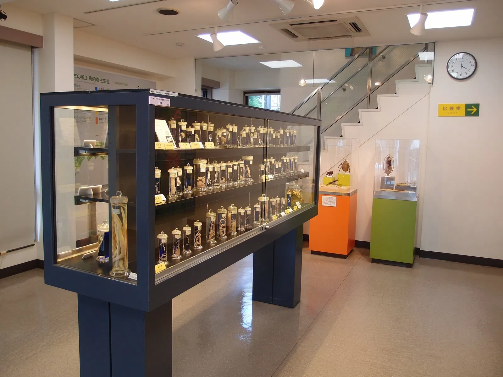 Meguro Parasitological Museum