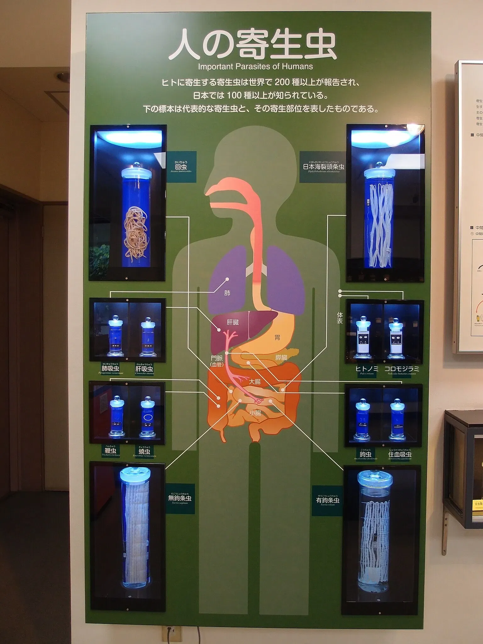 Meguro Parasitological Museum