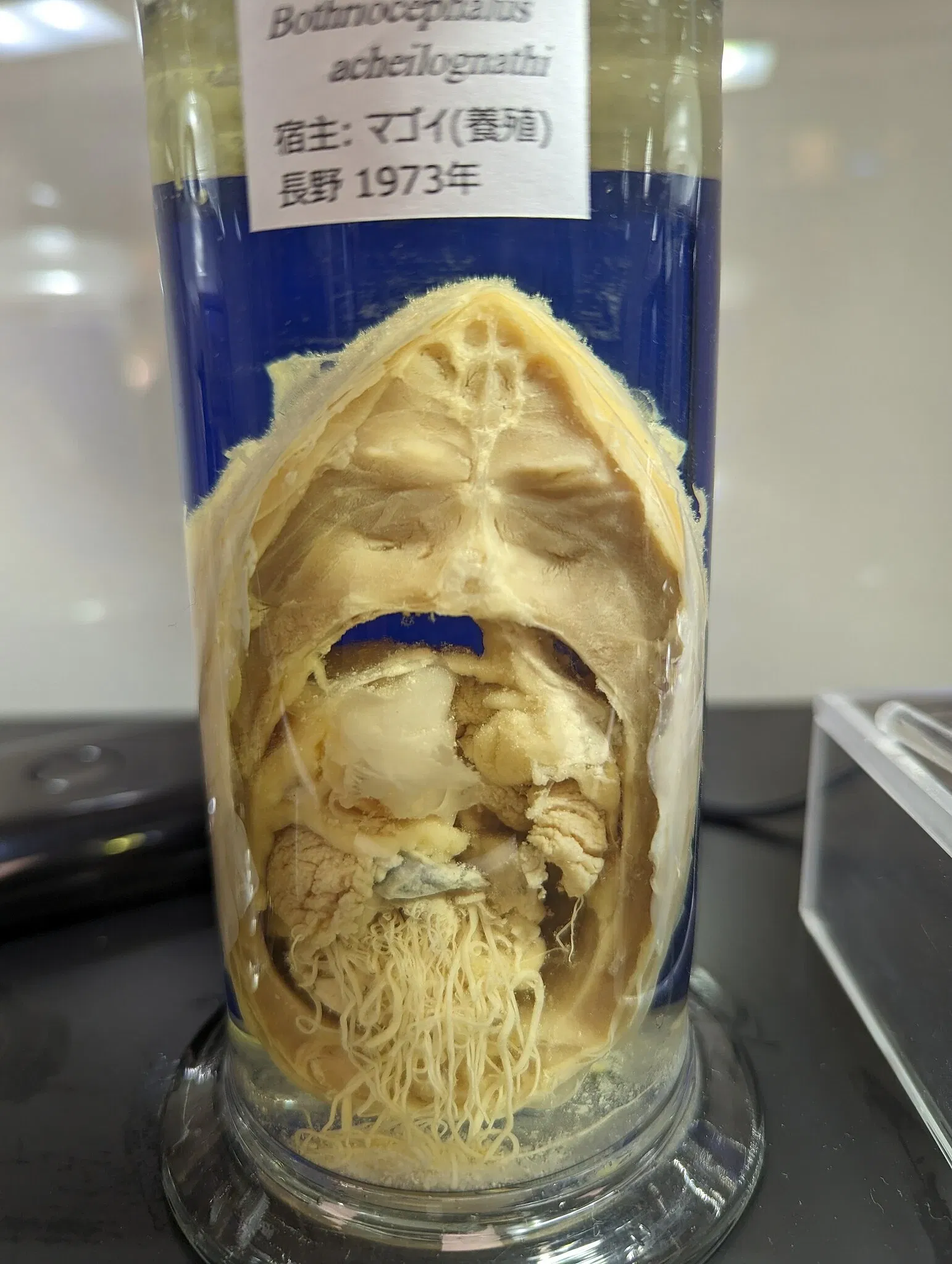 Meguro Parasitological Museum