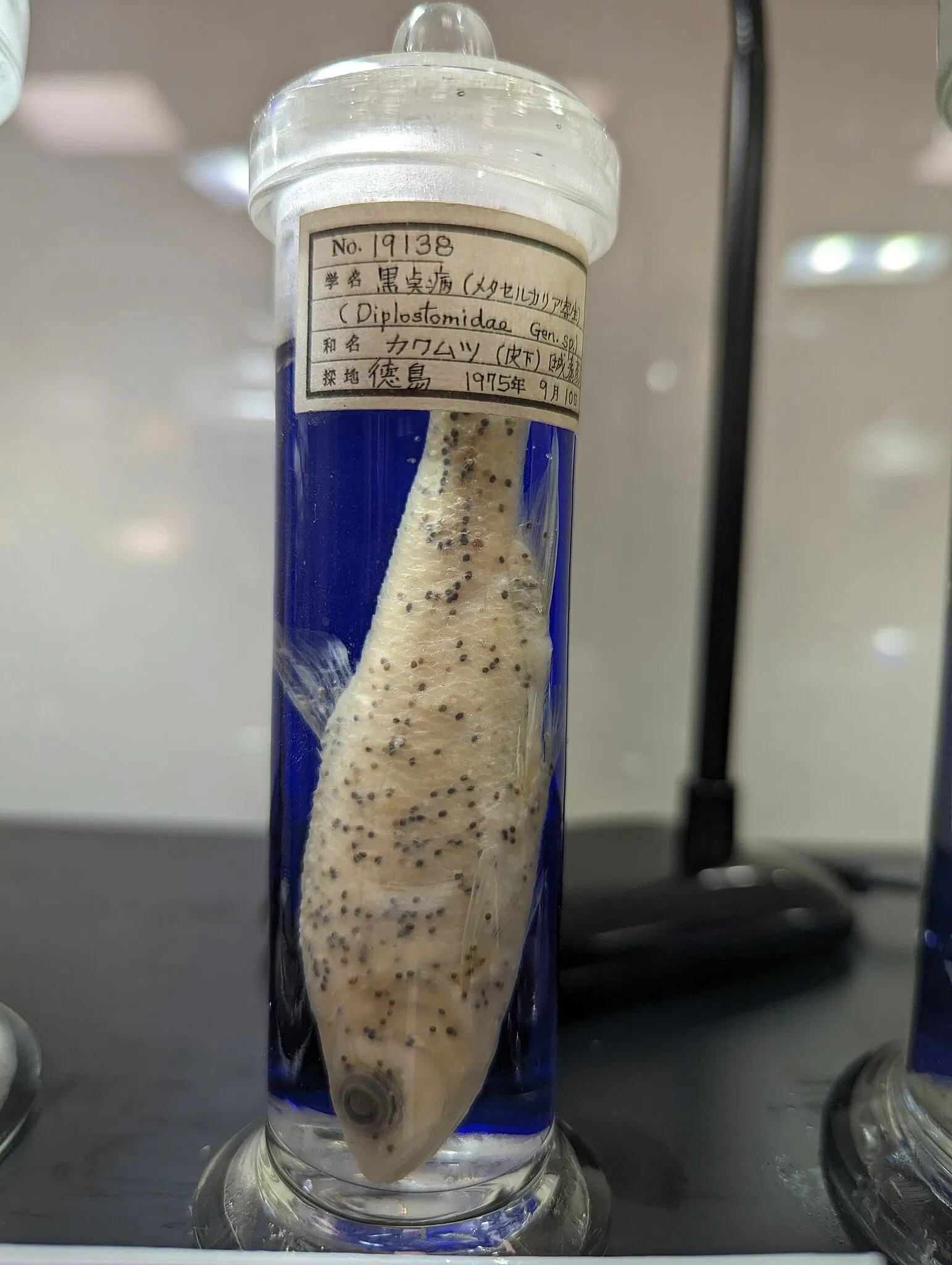 Meguro Parasitological Museum