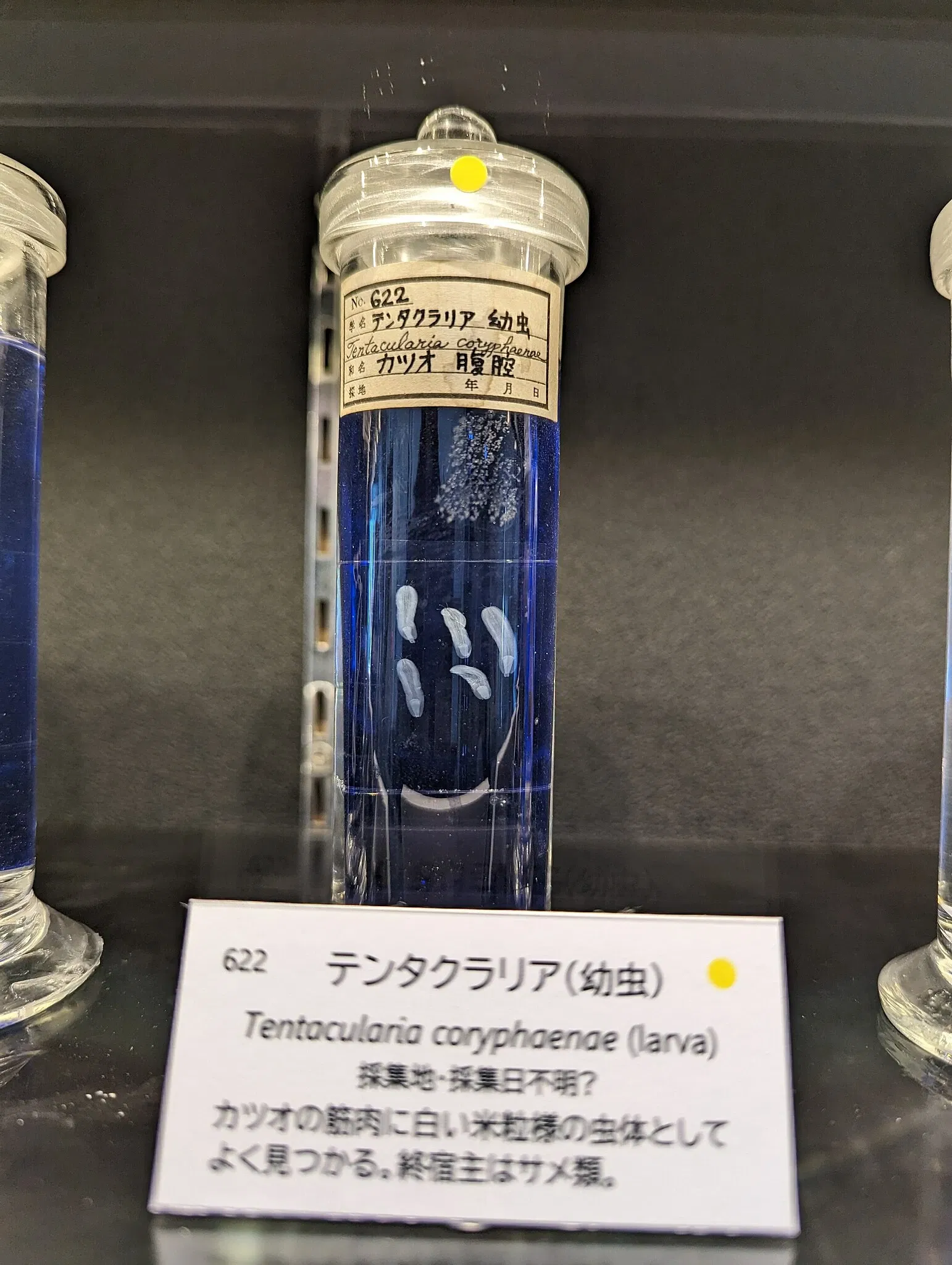 Meguro Parasitological Museum