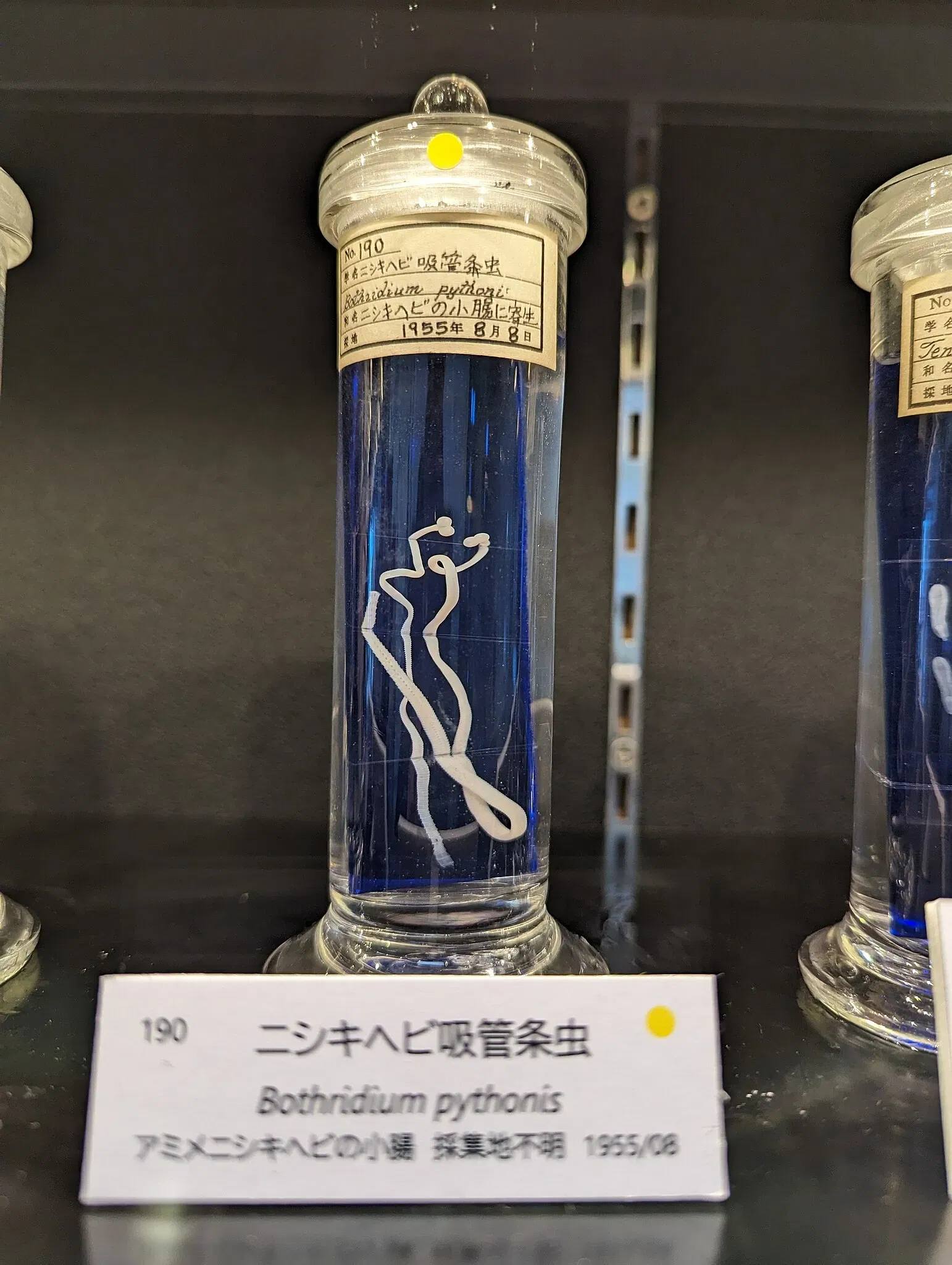 Meguro Parasitological Museum