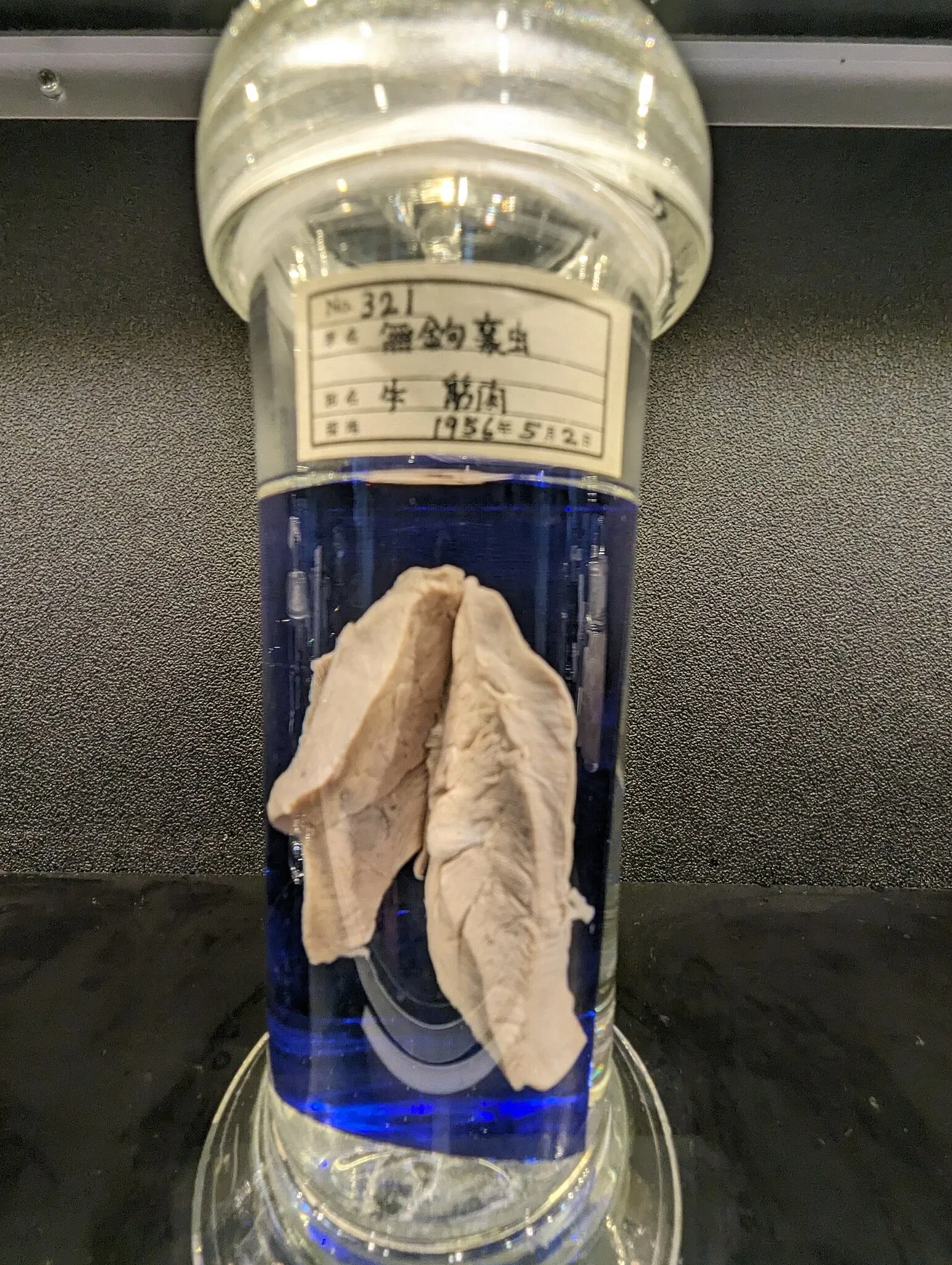 Meguro Parasitological Museum