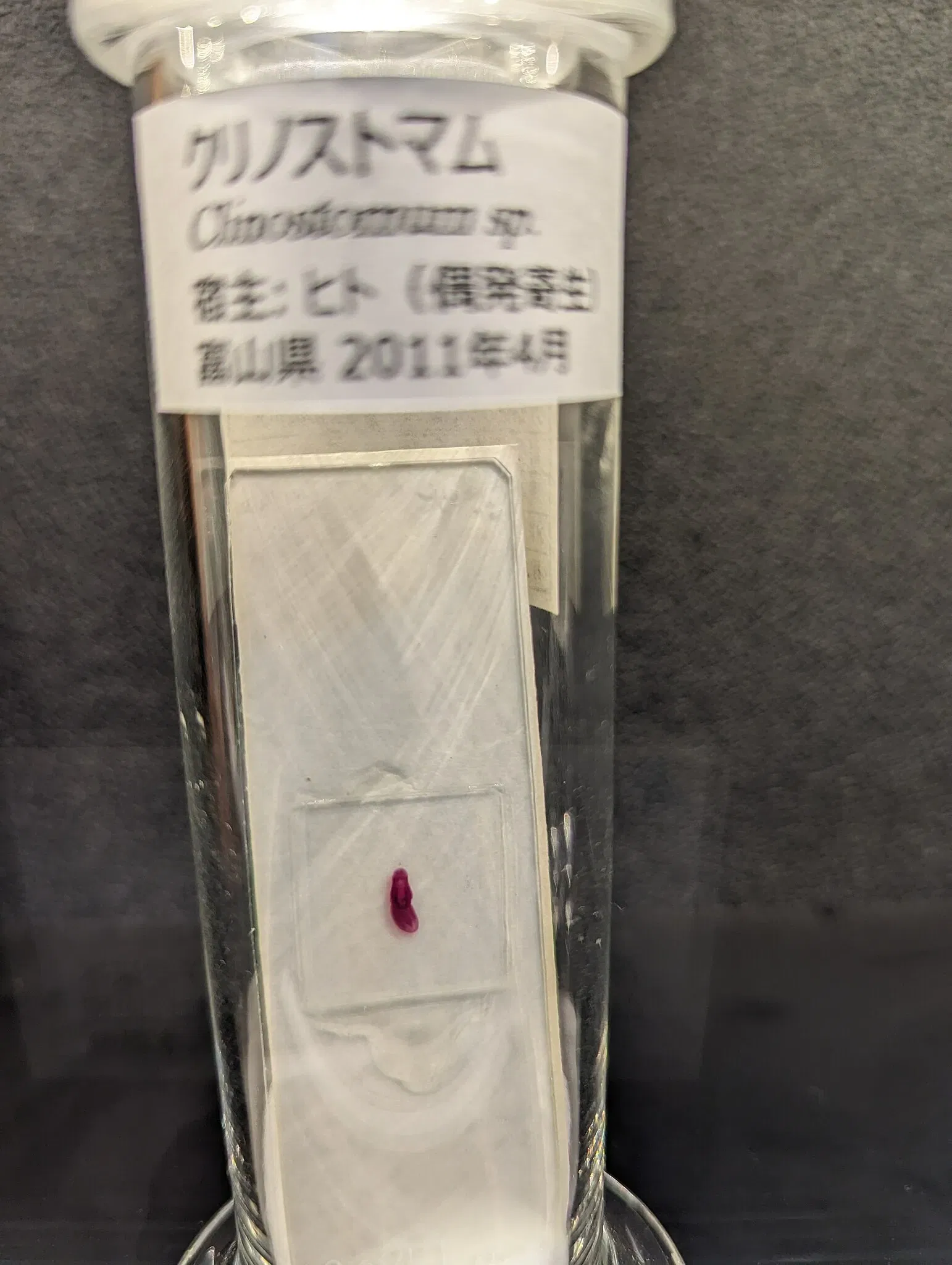 Meguro Parasitological Museum