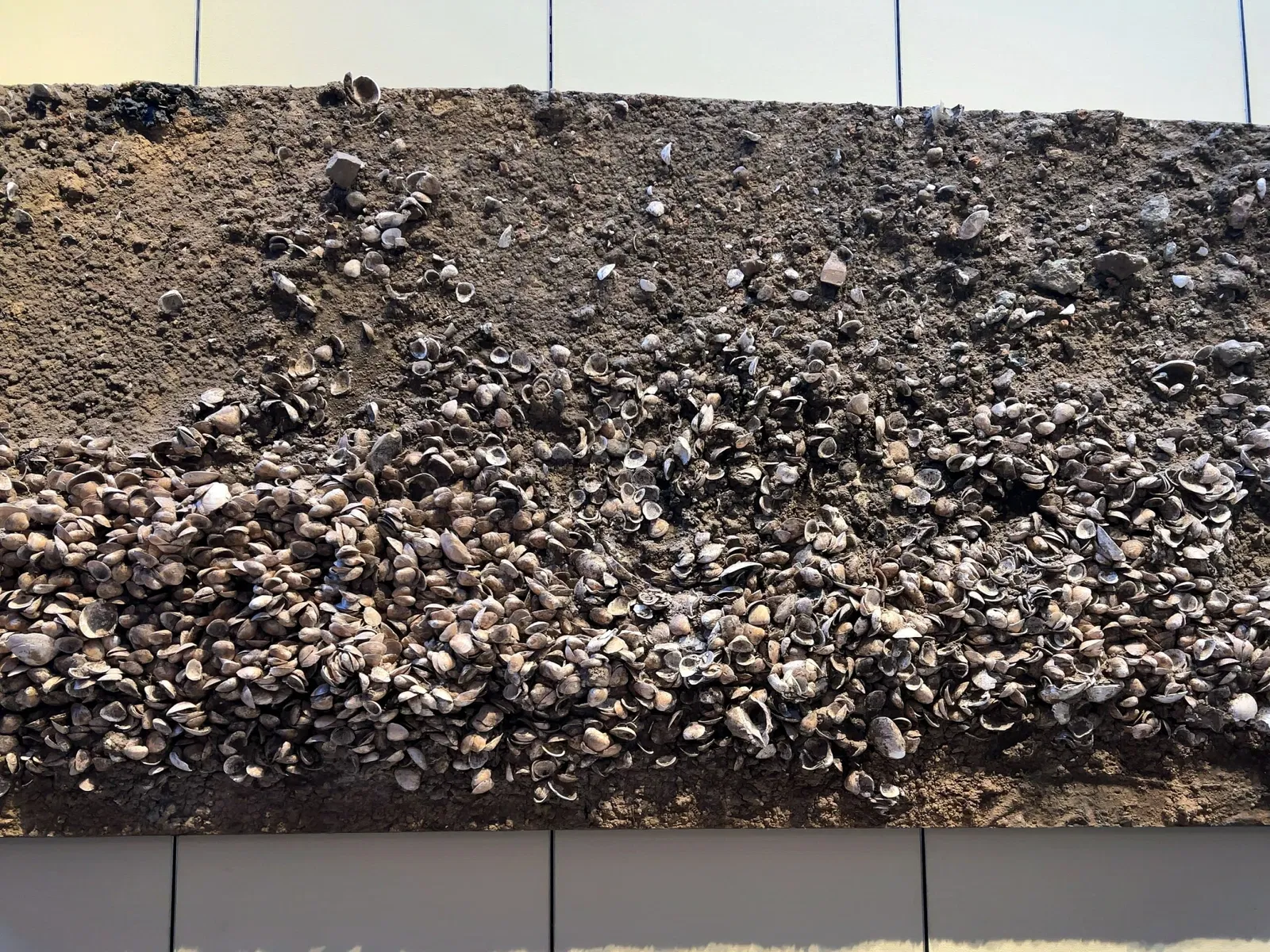 Kita City Asukayama Museum