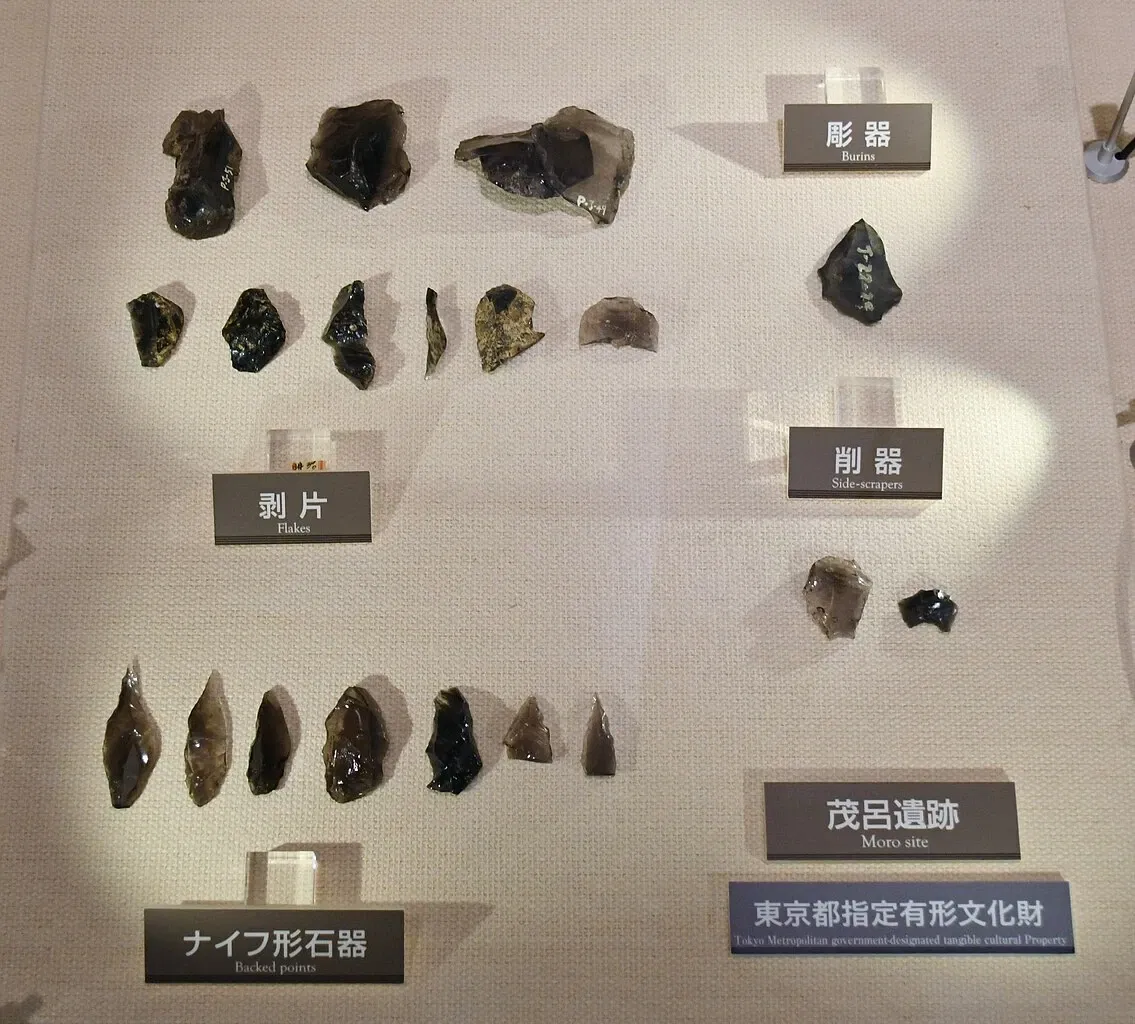 Meiji University Museum