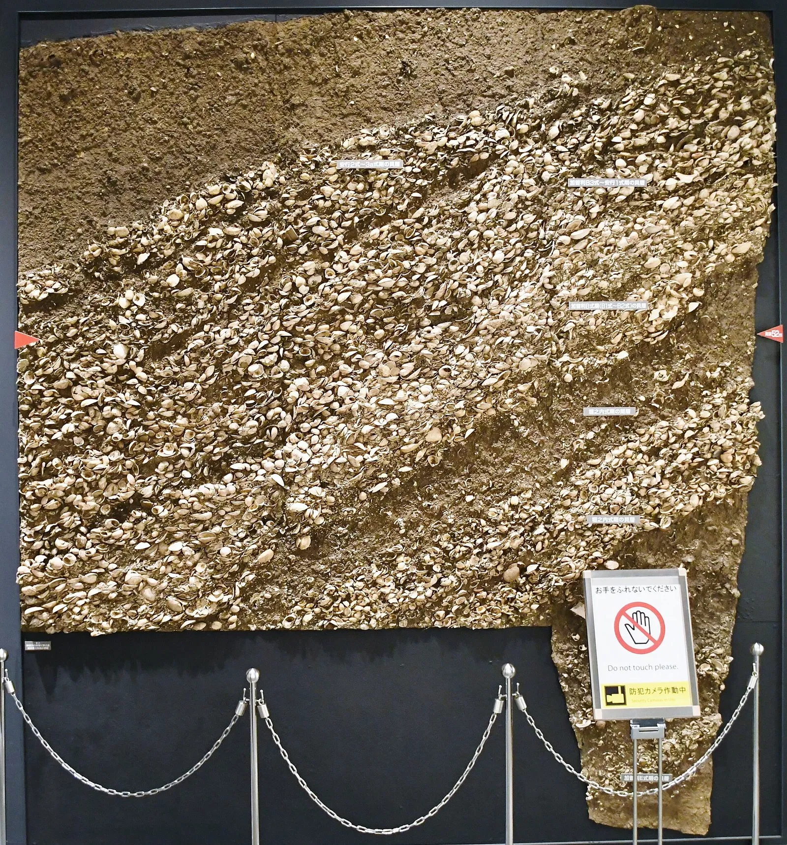 Meiji University Museum