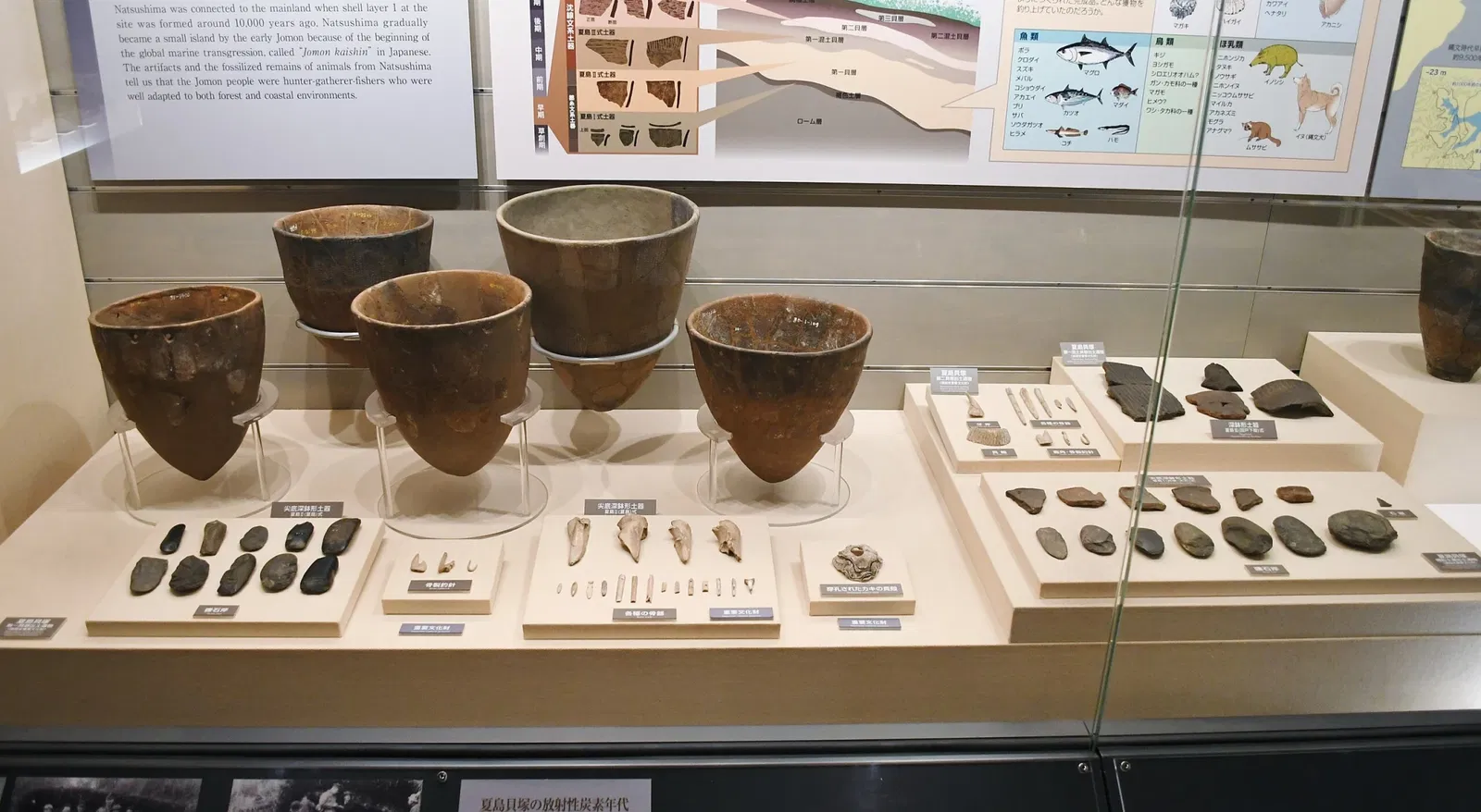 Meiji University Museum