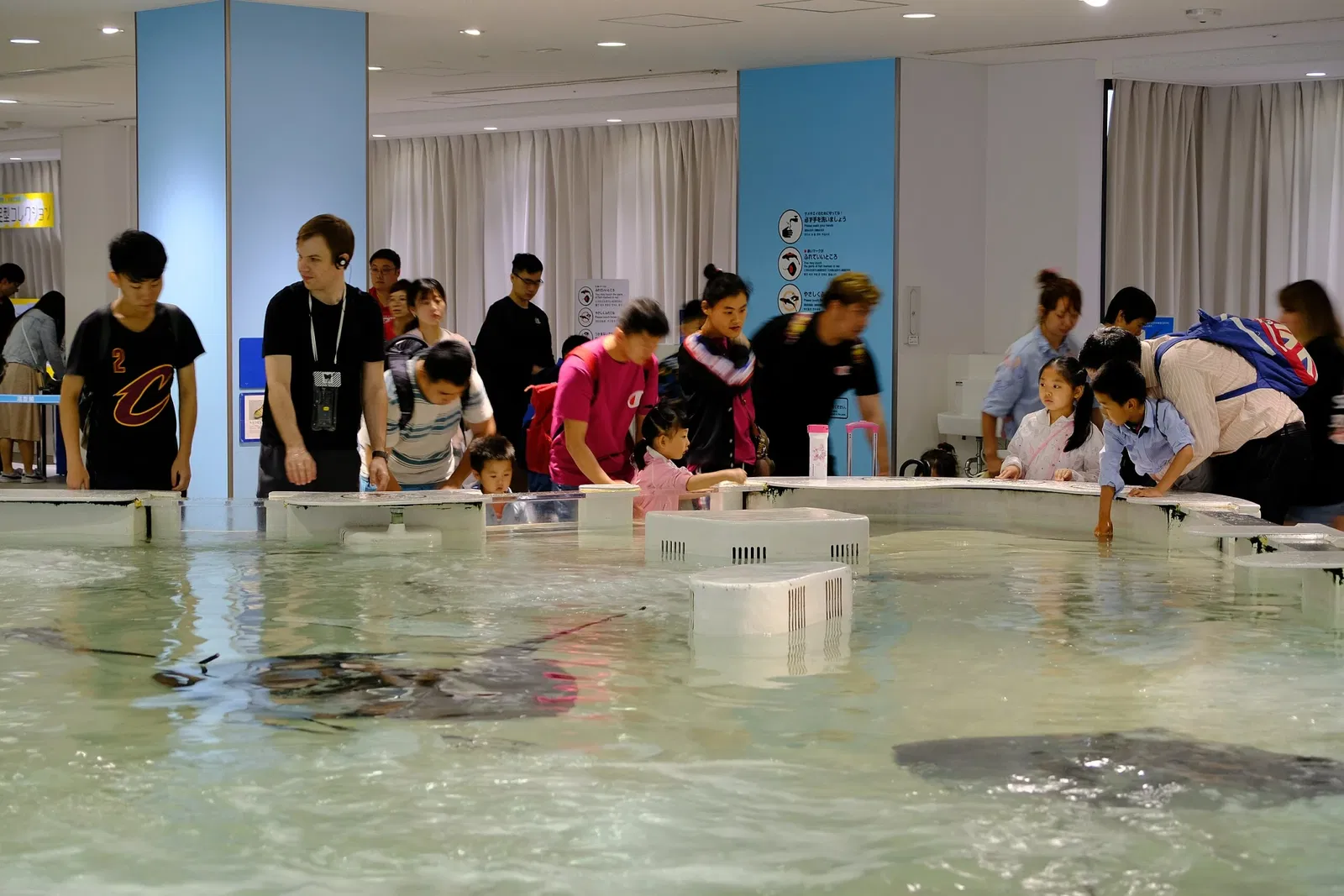 Osaka Aquarium Kaiyukan