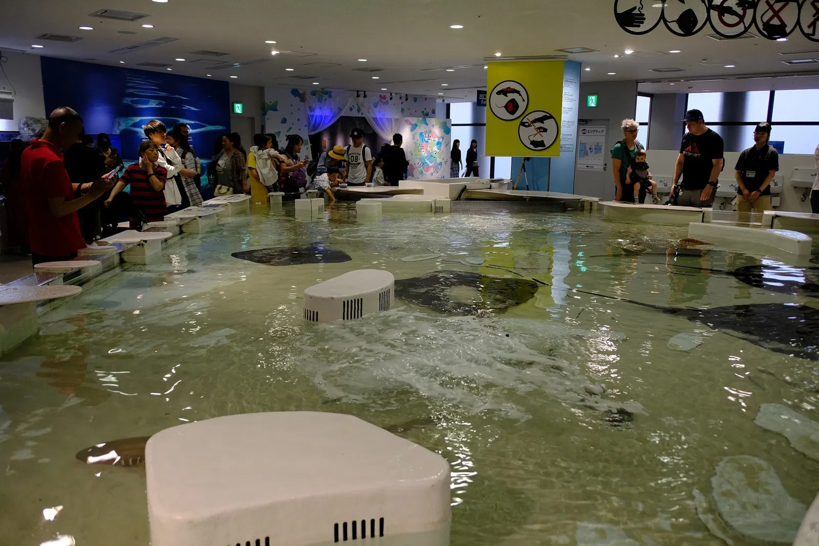 Osaka Aquarium Kaiyukan