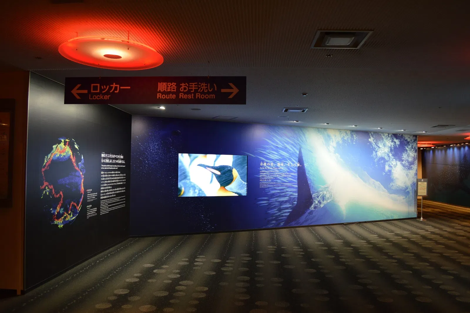 Osaka Aquarium Kaiyukan