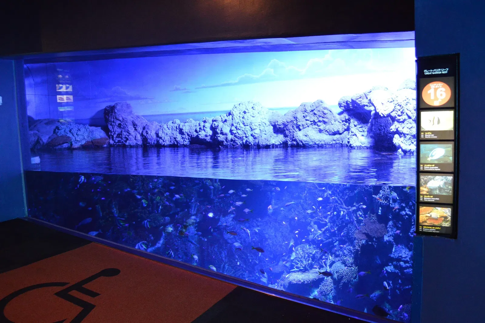 Osaka Aquarium Kaiyukan