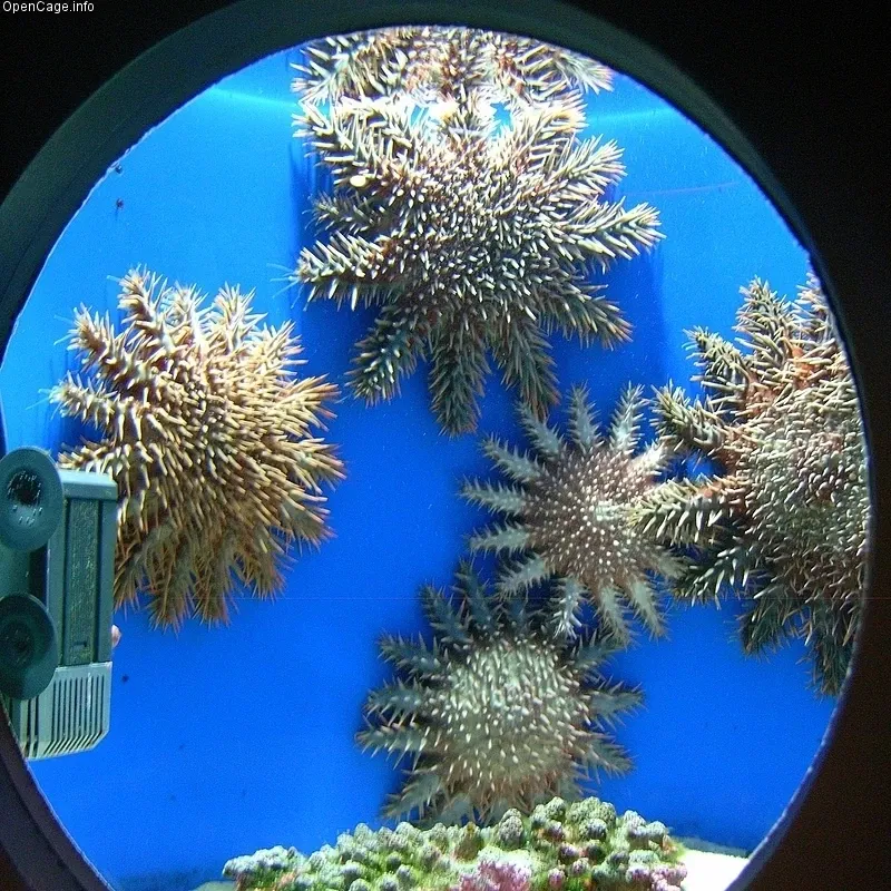 Osaka Aquarium Kaiyukan