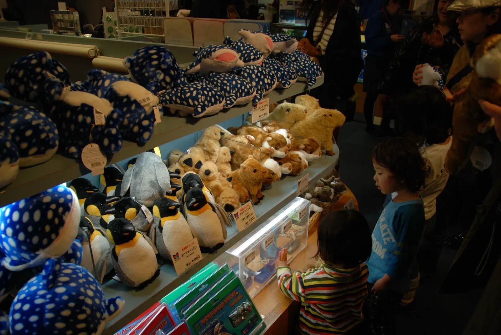 Osaka Aquarium Kaiyukan