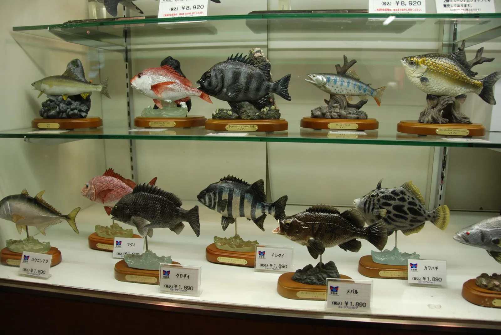 Osaka Aquarium Kaiyukan