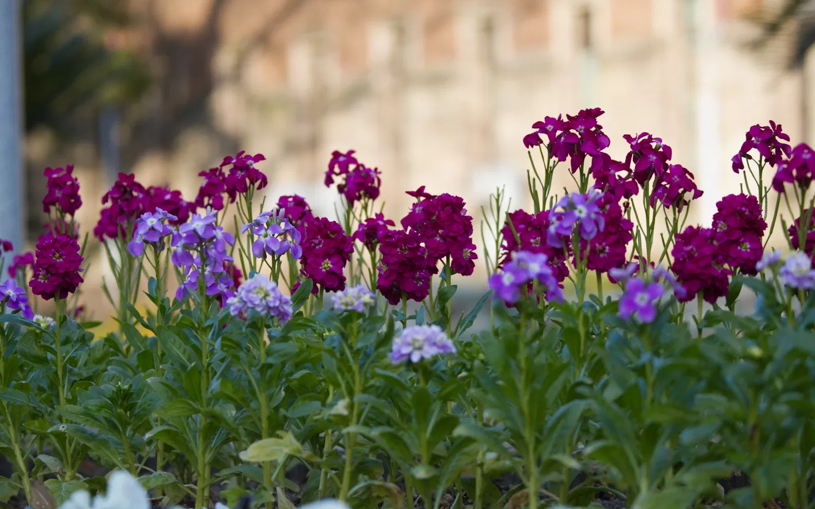 Osaka City Museum of Fine Arts