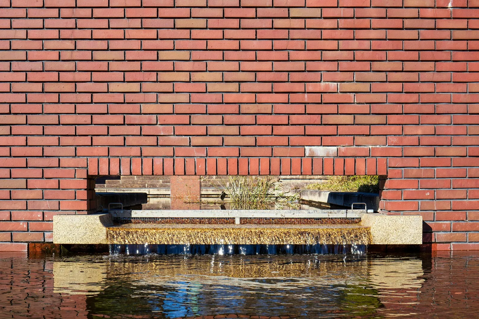 Nagai Botanical Garden