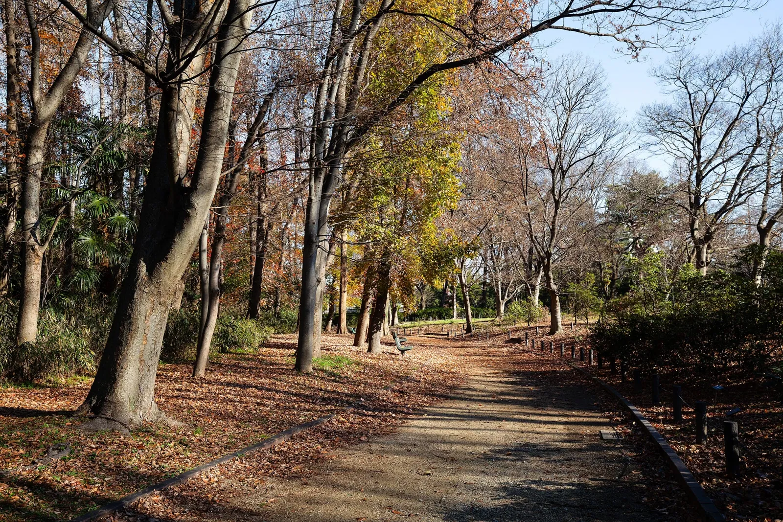 Nagai Botanical Garden