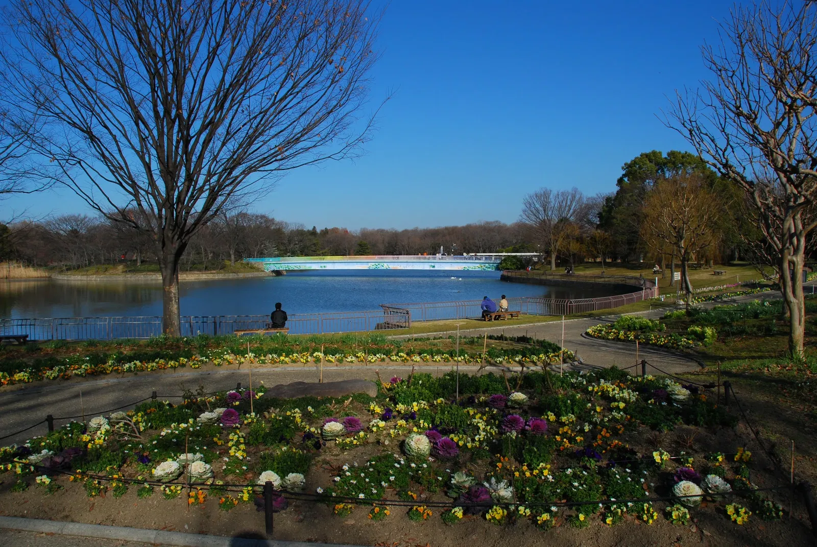 Nagai Botanical Garden