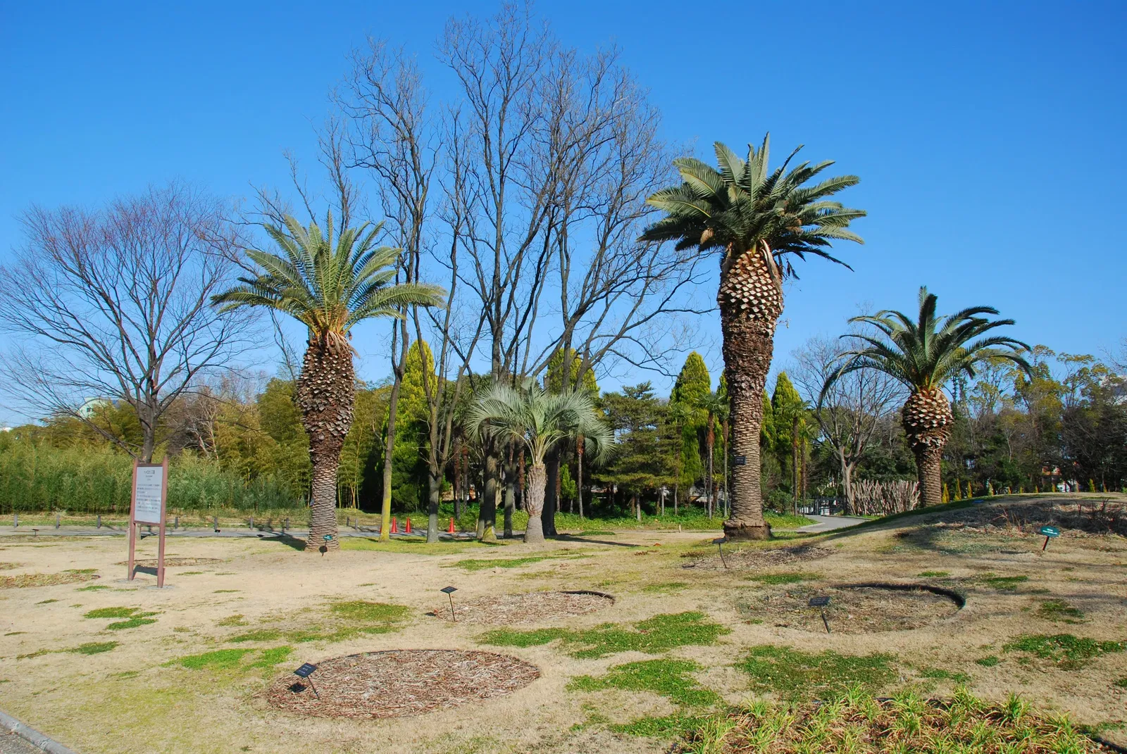 Nagai Botanical Garden