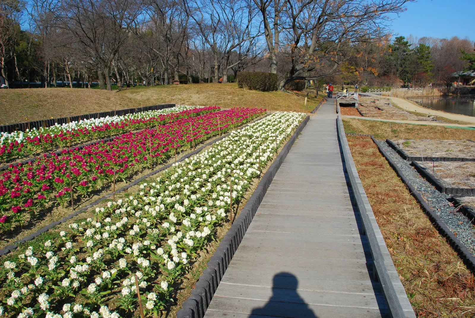 Nagai Botanical Garden