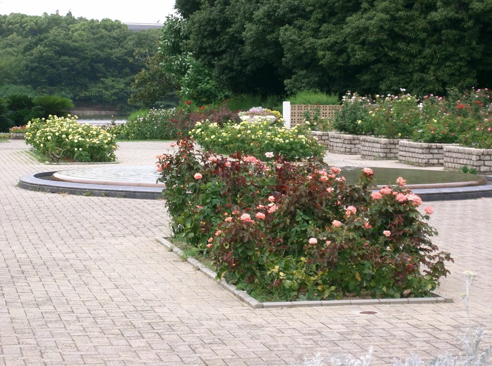 Nagai Botanical Garden