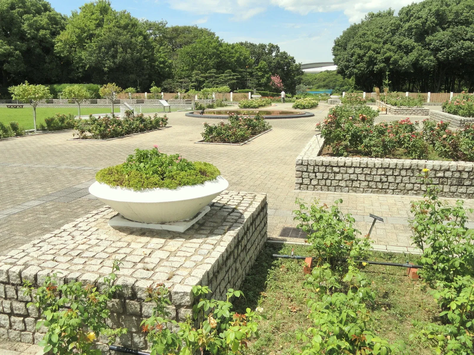 Nagai Botanical Garden