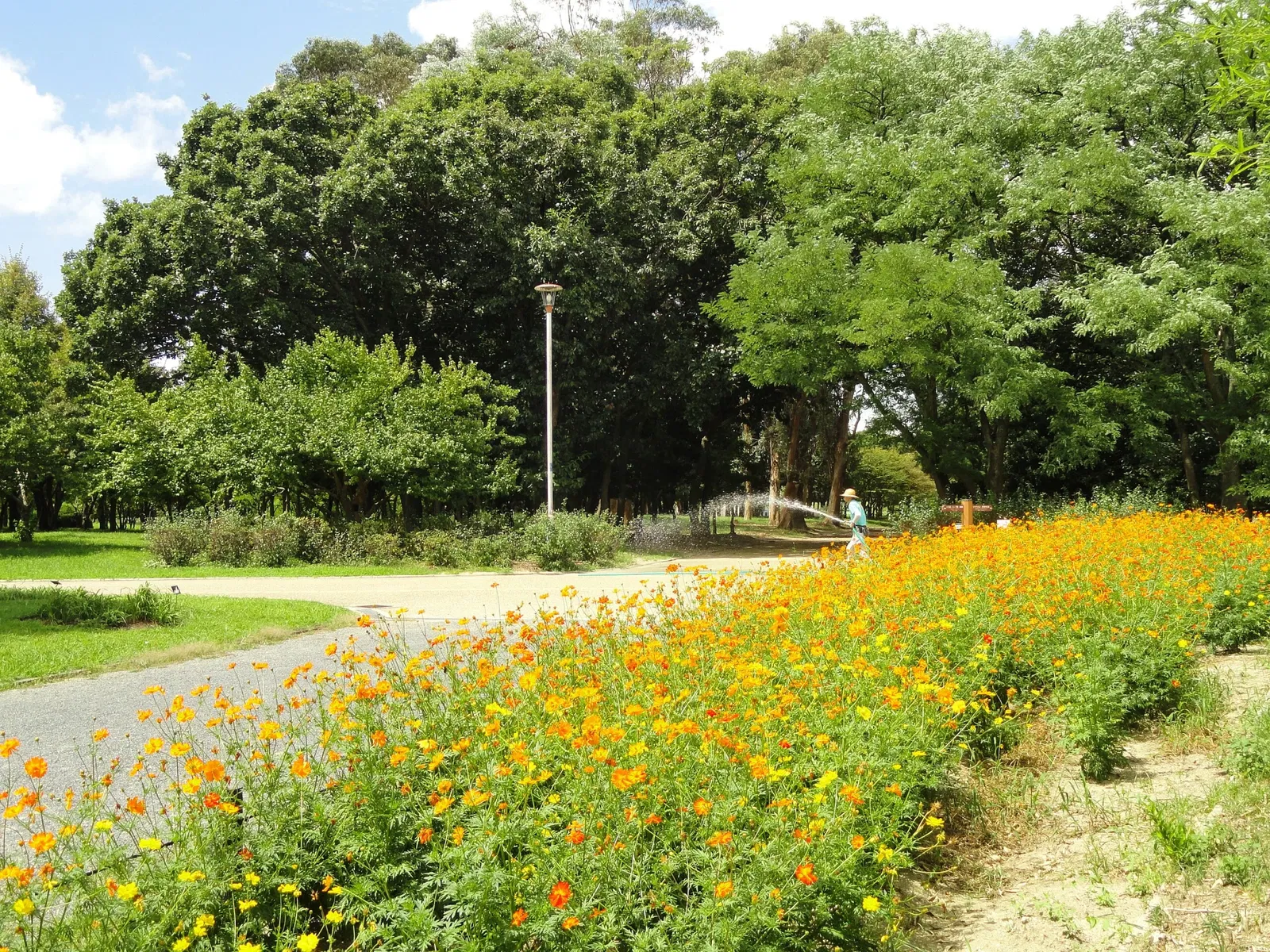 Nagai Botanical Garden