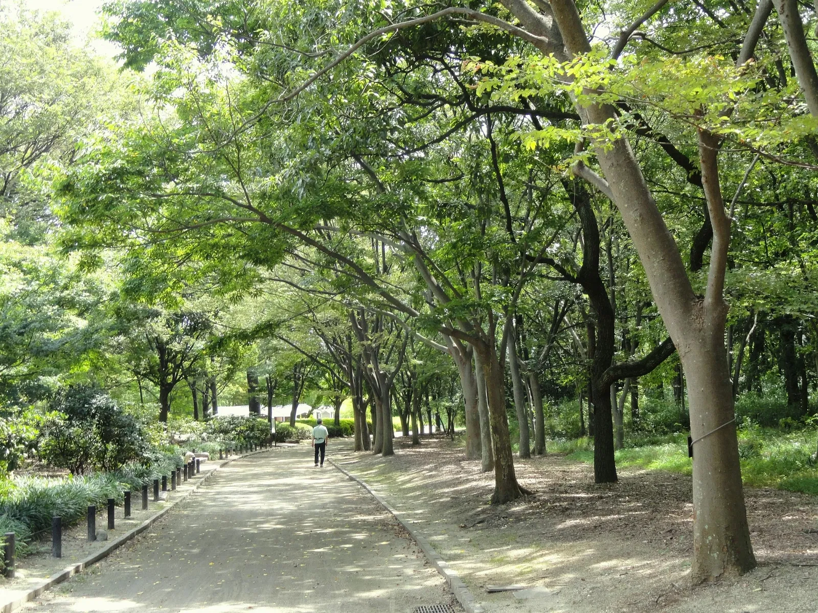 Nagai Botanical Garden