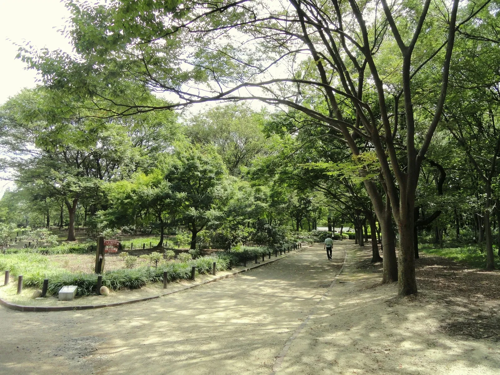 Nagai Botanical Garden