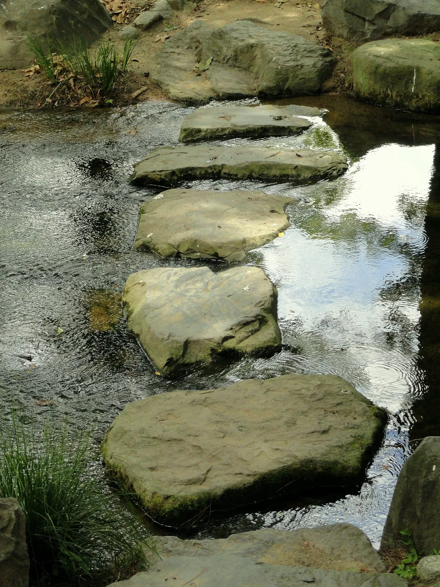 Nagai Botanical Garden