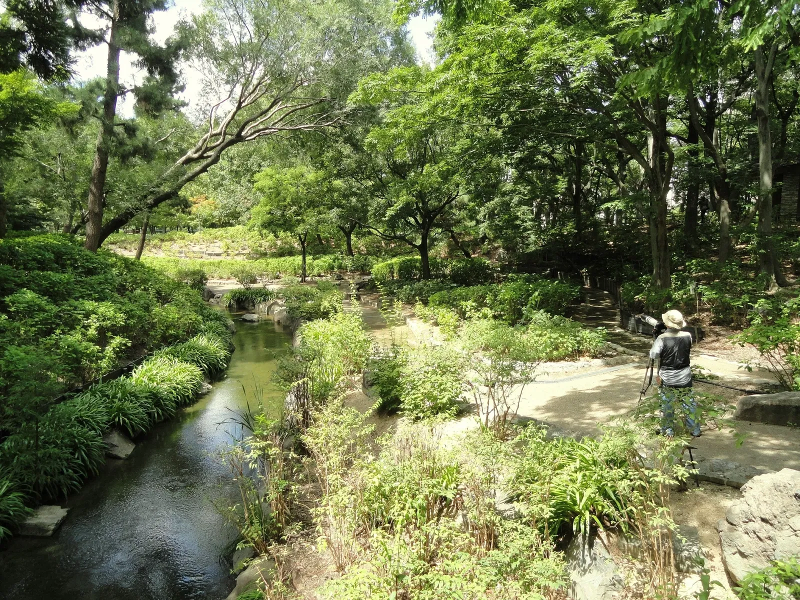 Nagai Botanical Garden