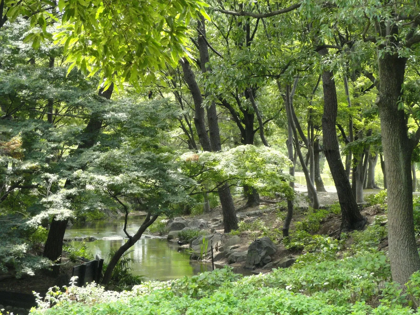 Nagai Botanical Garden