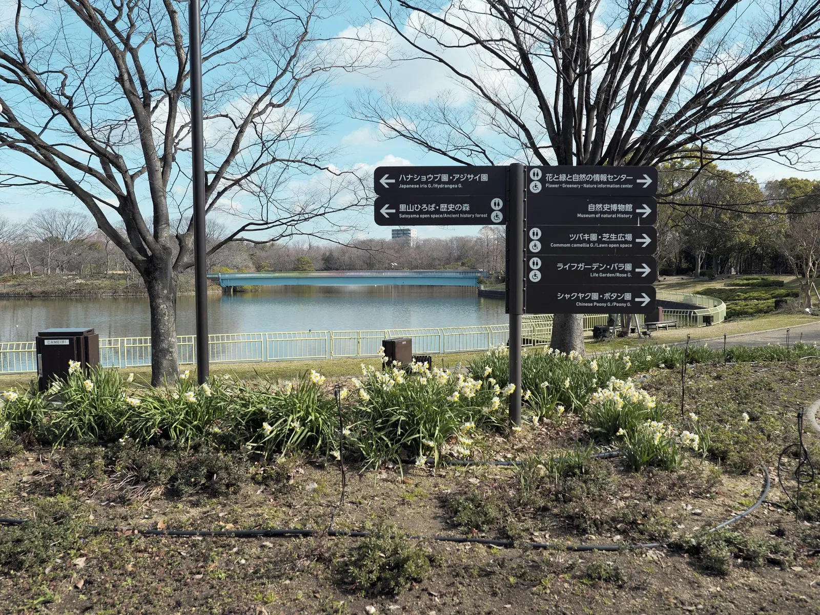 Nagai Botanical Garden