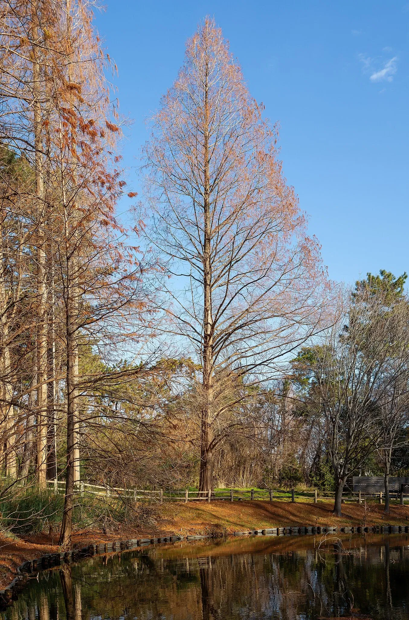 Nagai Botanical Garden
