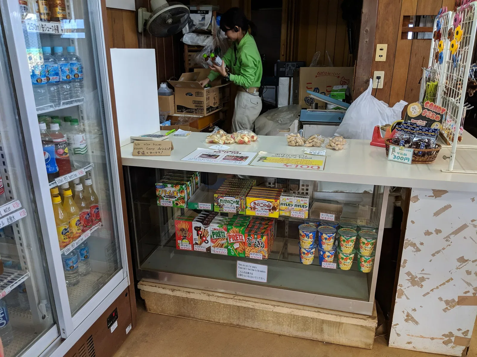 Arashiyama Monkey Park Iwatayama