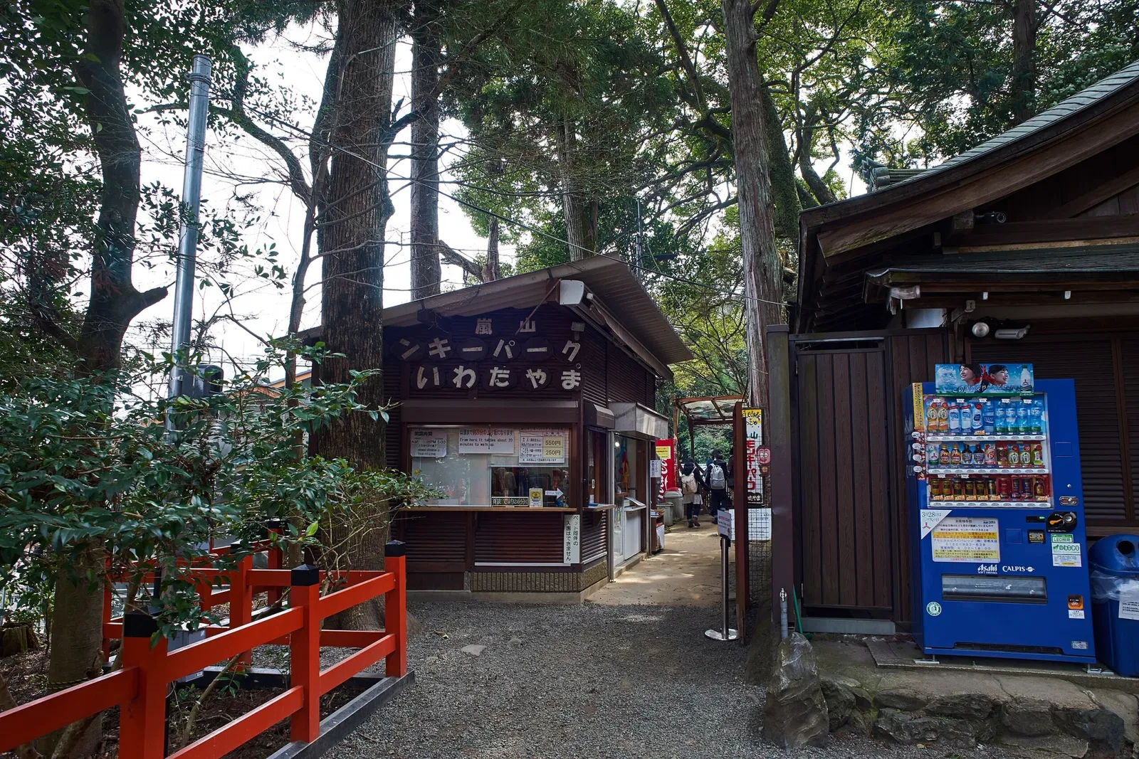 Arashiyama Monkey Park Iwatayama