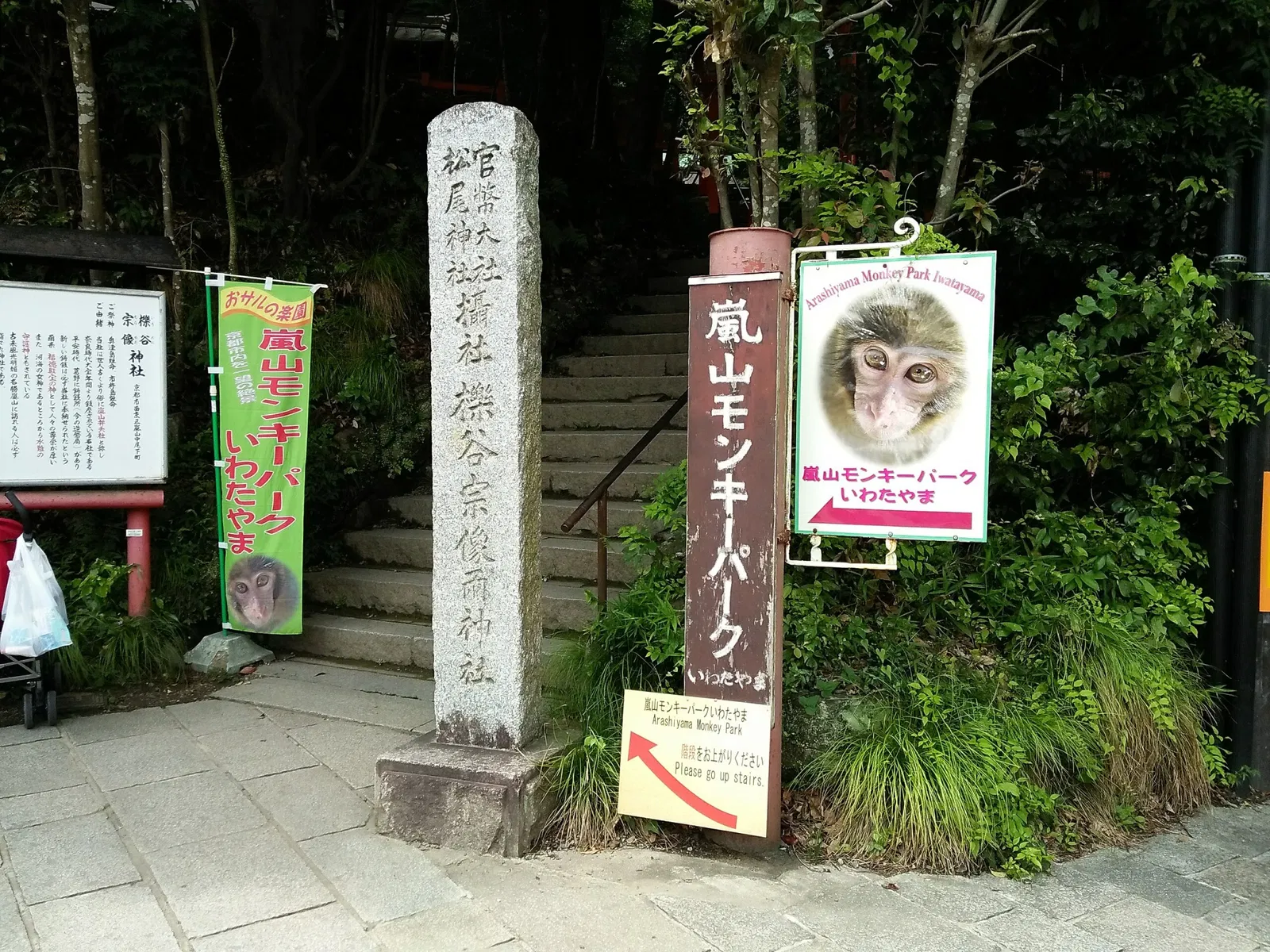 Arashiyama Monkey Park Iwatayama