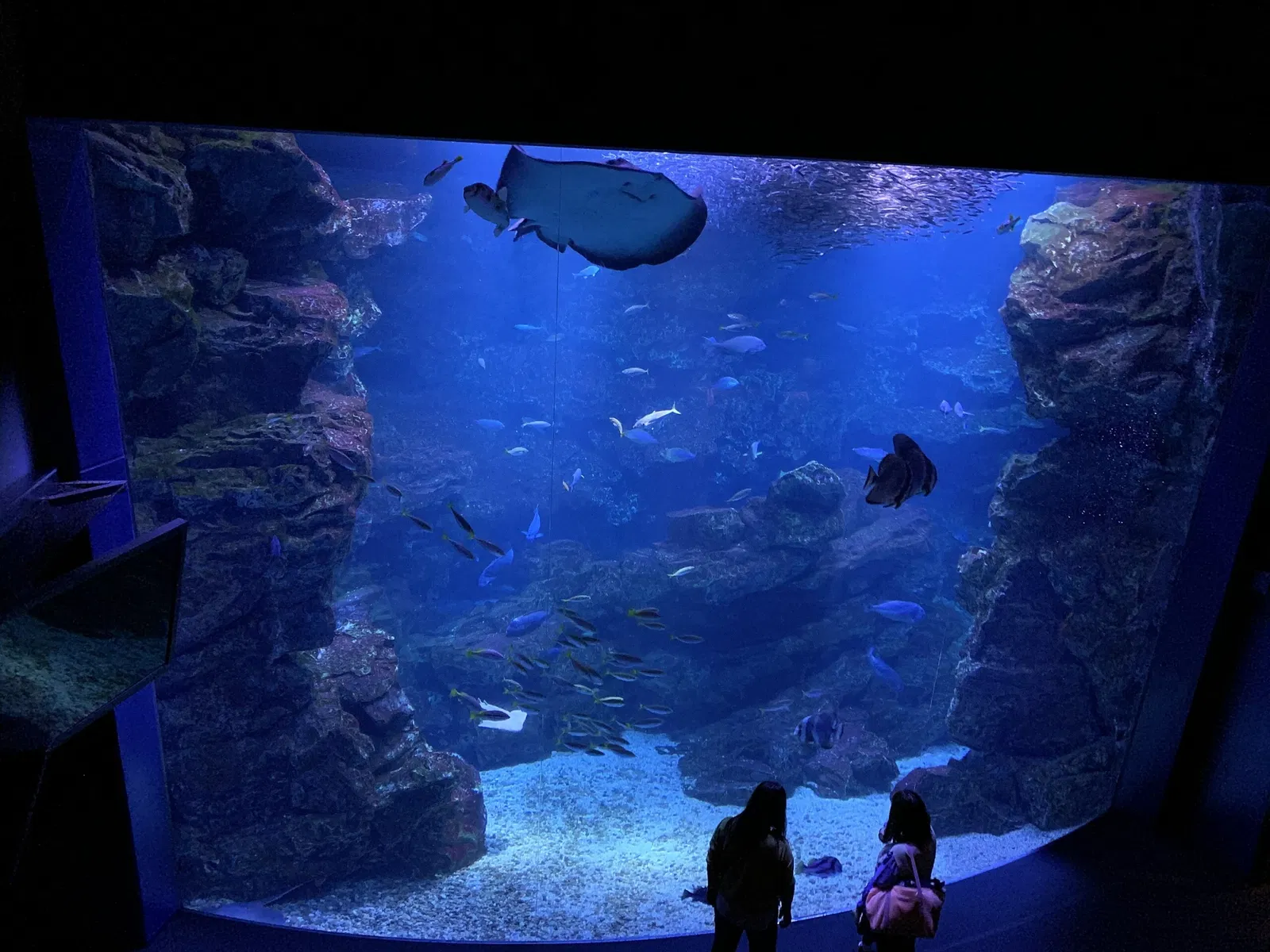 Kyoto Aquarium
